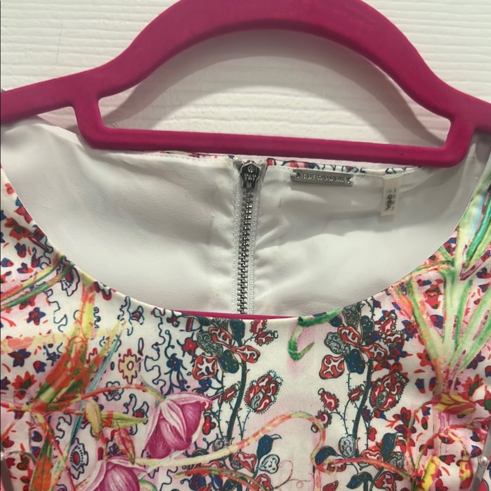 Floral Multicolor Dress